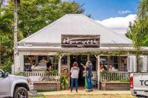 A Hamlet if ever I saw one…